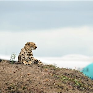 acomp Kenia 20111014 07256