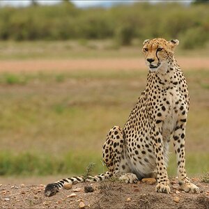 acomp Kenia 20111014 07740