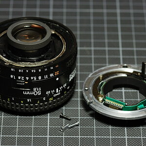 DSC 2303