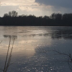 Licht