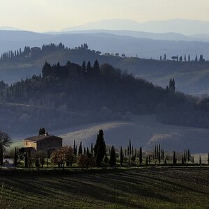 Crete Senesi #16