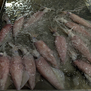 bangkok klong toey market 1016150