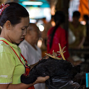 bangkok klong toey market 1016371