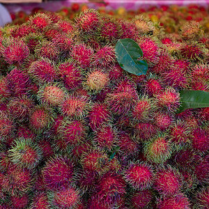 bangkok klong toey market 1016448