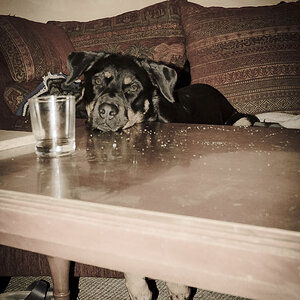 20120218Paula 0730