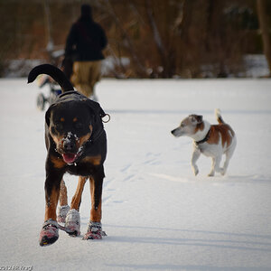 20120207Paula 0622