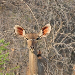 Namibia 2011
