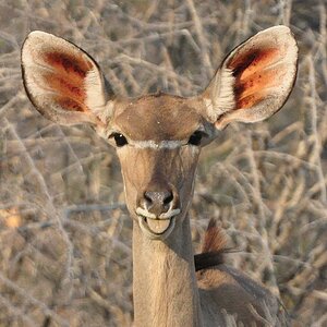Namibia 2011