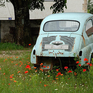 istrien fiat