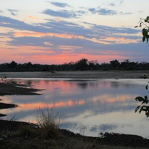 Luangwa nach Sonnenuntergang
4331