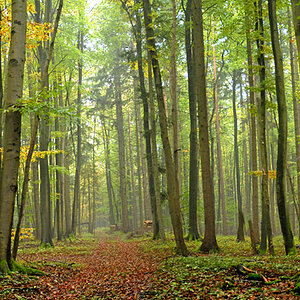 HDR, drei mal links und drei mal rechts, mir Panorama- Programm zusammengesetzt.