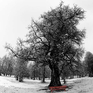 BW roteBank0143 1 forum