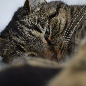 DSC0008 274
