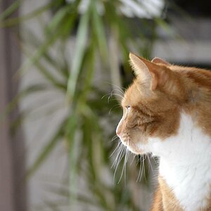 DSC0123 341