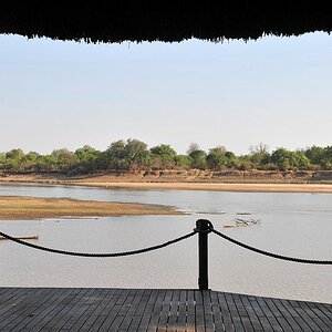 Ein letzter Blick auf den Luangwa
Nkwali Camp
9611