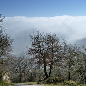2012031709580616
