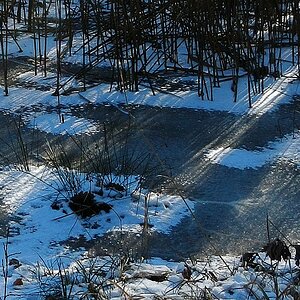 teich farbig