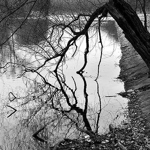 Spiegelung
