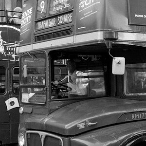 The Old Bus
