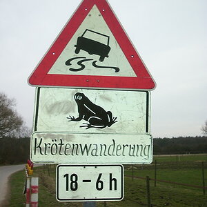 DCP 1081 Bildgröße ändern