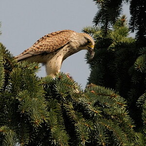 2012 03 24 12 59 34 D30 4719 copy