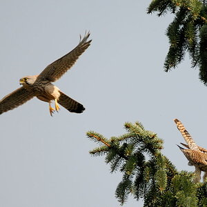 2012 03 24 12 59 58 D30 4738 copy