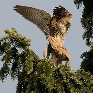 2012 03 24 12 59 56 D30 4734 copy
