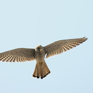 2012 03 25 12 14 59 D30 4860 copy