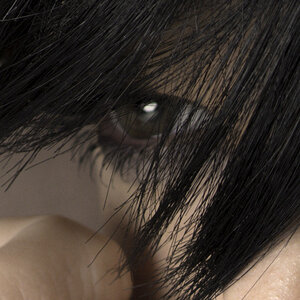 D80 6119 crop