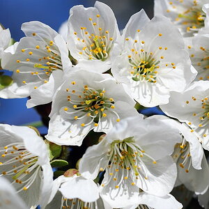 2012 04 01 09 46 42 D70 2321 copy