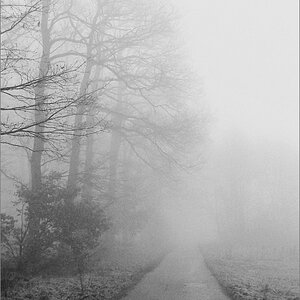 cR Frühnebel 21