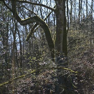 DSC 6287vers1