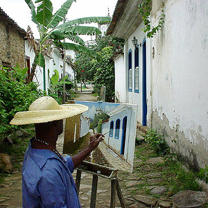 maler parati web