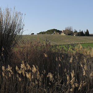 2012 03 16 170453 web