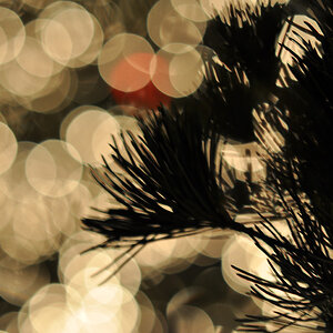 bokeh