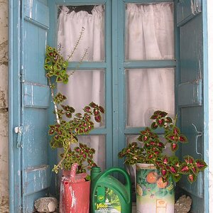 Kreta Mai 2005 150 a