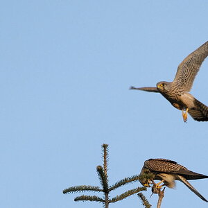 2012 03 27 18 07 47 D30 4914 copy