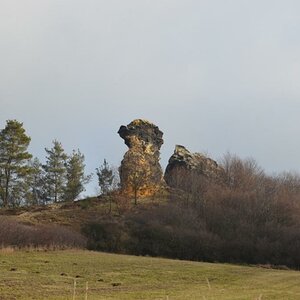 Kamelfelsen - ein Teil der Teufelsmauer bei Westerhausen