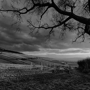 DSC 3380 edit