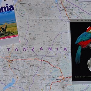 literatur serengeti