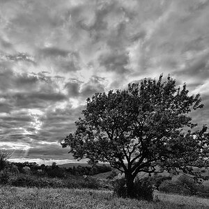 DSC 5765 3029