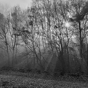 DSC 6678 4076 sw