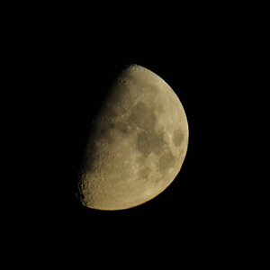 Mond