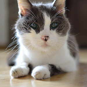 20120330 DSC 0522