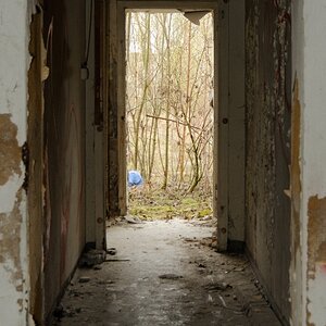 DSC 0115