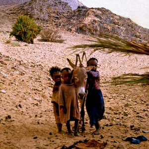 58 Afrika 1972
