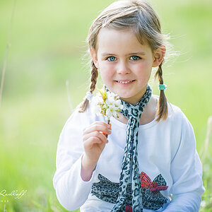 Photodesign Radloff 0256
