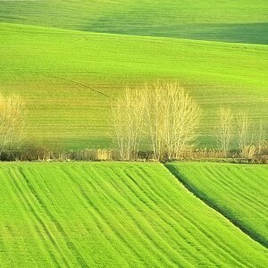 2012031417311200