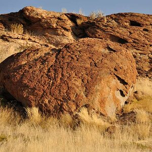 Namibia 2011 008790