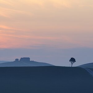 2012033006572878